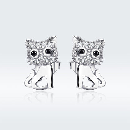 S925 Sterling Silver Earrings for Women  DestGlow