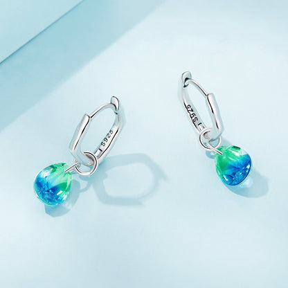 S925 Sterling Silver Oxidized Earrings with Transparent Glass &amp; Main Stone for Women  DestGlow