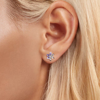 925 Sterling Silver Earrings with Enamel and Transparent Glass for Women  DestGlow
