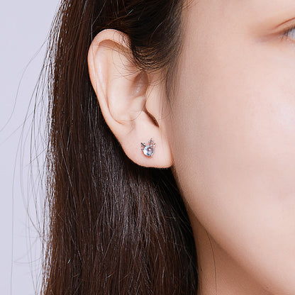 925 Sterling Silver Transparent Glass Earrings  DestGlow