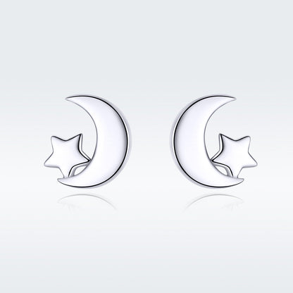 S925 Sterling Silver Earrings for Women  DestGlow