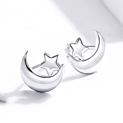 S925 Sterling Silver Earrings for Women  DestGlow