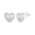 925 Sterling Silver White Shell Plated White Gold Earrings Size 7*8mm  DestGlow