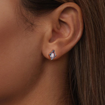 925 Sterling Silver Earrings with Transparent Glass and White Gold Plating  DestGlow