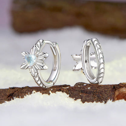 925 Sterling Silver Earrings with Transparent Glass and White Gold Plating  DestGlow