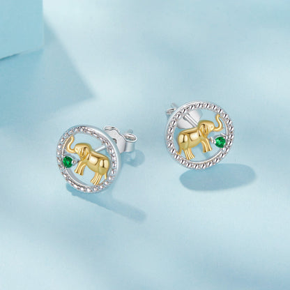 925 Sterling Silver Earrings with CZ in White Gold Plated for Women  DestGlow