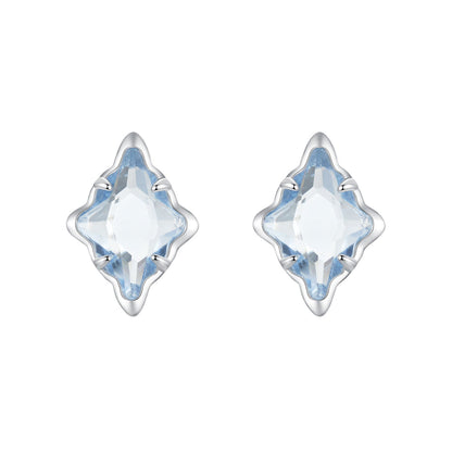 925 Sterling Silver Earrings with Transparent Glass and White Gold Plating  DestGlow