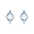 925 Sterling Silver Earrings with Transparent Glass and White Gold Plating  DestGlow