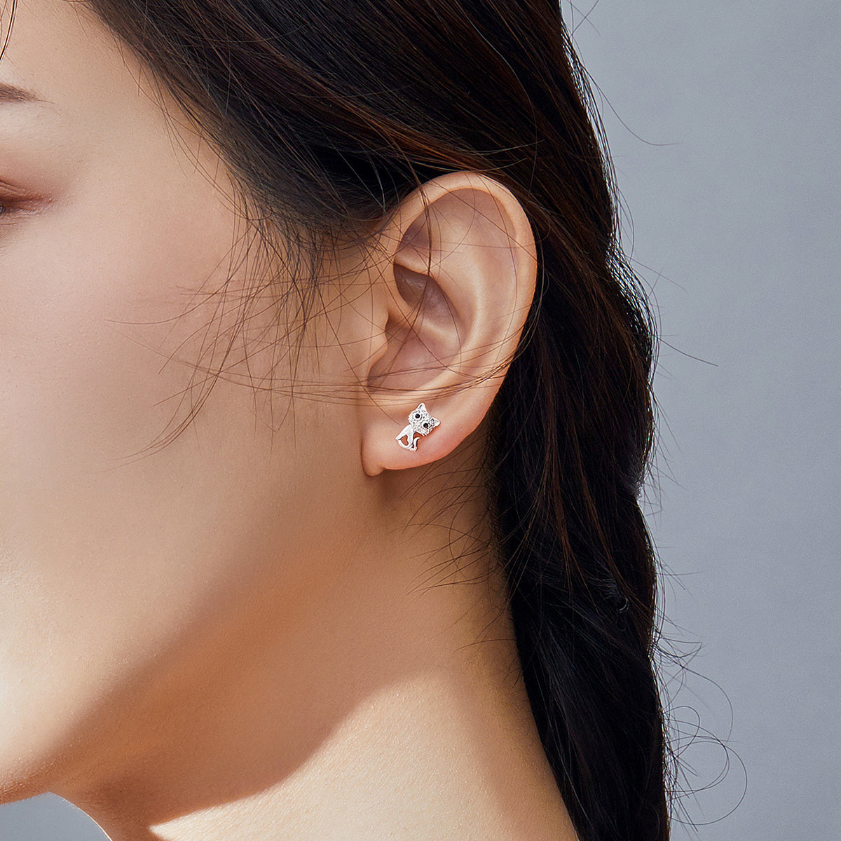 S925 Sterling Silver Earrings for Women  DestGlow