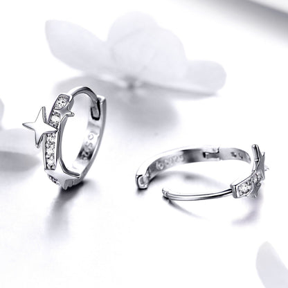 S925 Sterling SilverCZ Earrings for Women  DestGlow