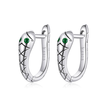 925 Sterling Silver Plated Platinum CZ Earrings for Women