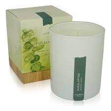 Thymes Poured Aromatic Candle Eucalyptus 9 Oz by Pasteur Pharmacy