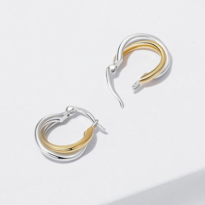 925 Sterling Silver Earrings with Platinum and Gold Plating for Women  DestGlow