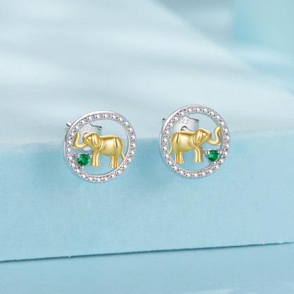925 Sterling Silver Earrings with CZ in White Gold Plated for Women  DestGlow