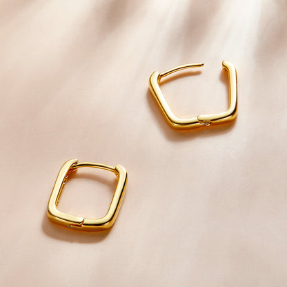 925 Sterling Silver Oxidized Earrings for Women  DestGlow