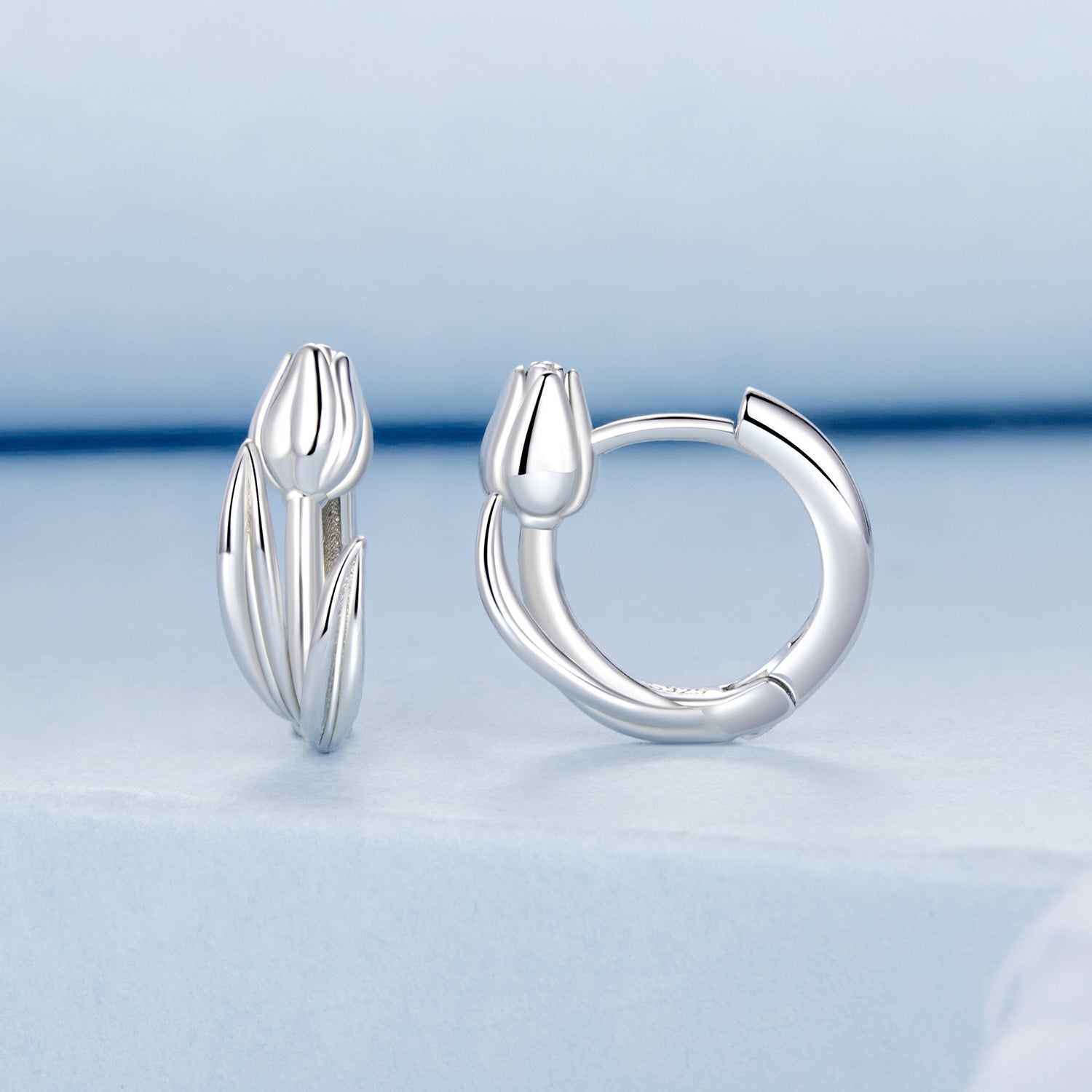 925 Sterling Silver White Gold Plated Earrings for Women  DestGlow