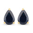 1.60 Carat Genuine Blue Sapphire 10K Yellow Gold Earrings by Bids.com