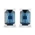 0.80 Carat Genuine Blue Sapphire 14K White Gold Earrings by Bids.com