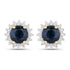 2.38 Carat Genuine Blue Sapphire and White Diamond 14K Yellow Gold Earrings by Bids.com