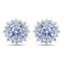 2.52 Carat Genuine Tanzanite .925 Sterling Silver Earrings by Avera Group