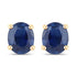 0.68 Carat Genuine Blue Sapphire 14K Yellow Gold Earrings by Bids.com