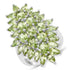 8.89 Carat Genuine Peridot .925 Sterling Silver Ring by Bids.com