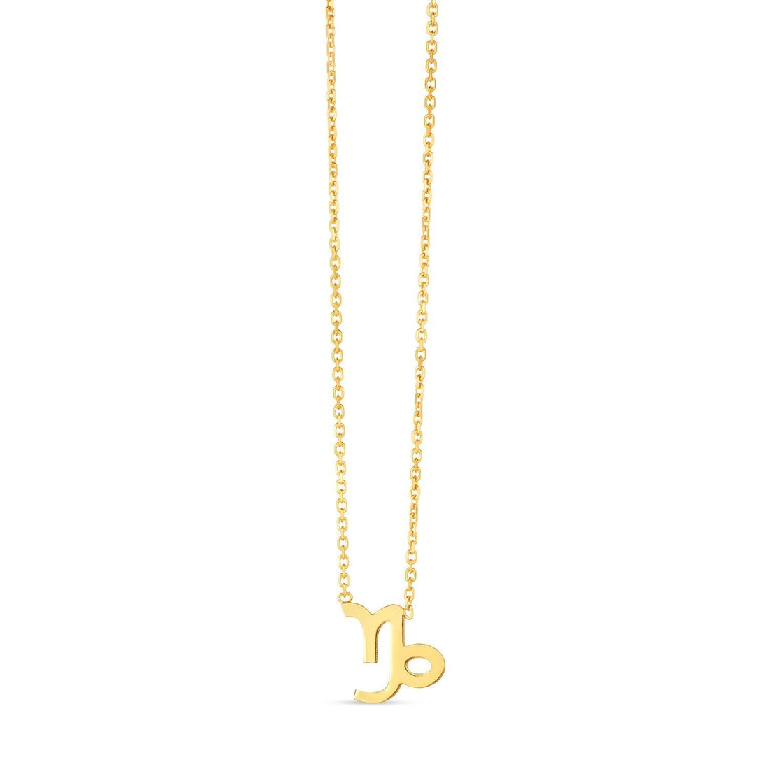 14K Yellow Gold Capricorn Necklace  DestGlow