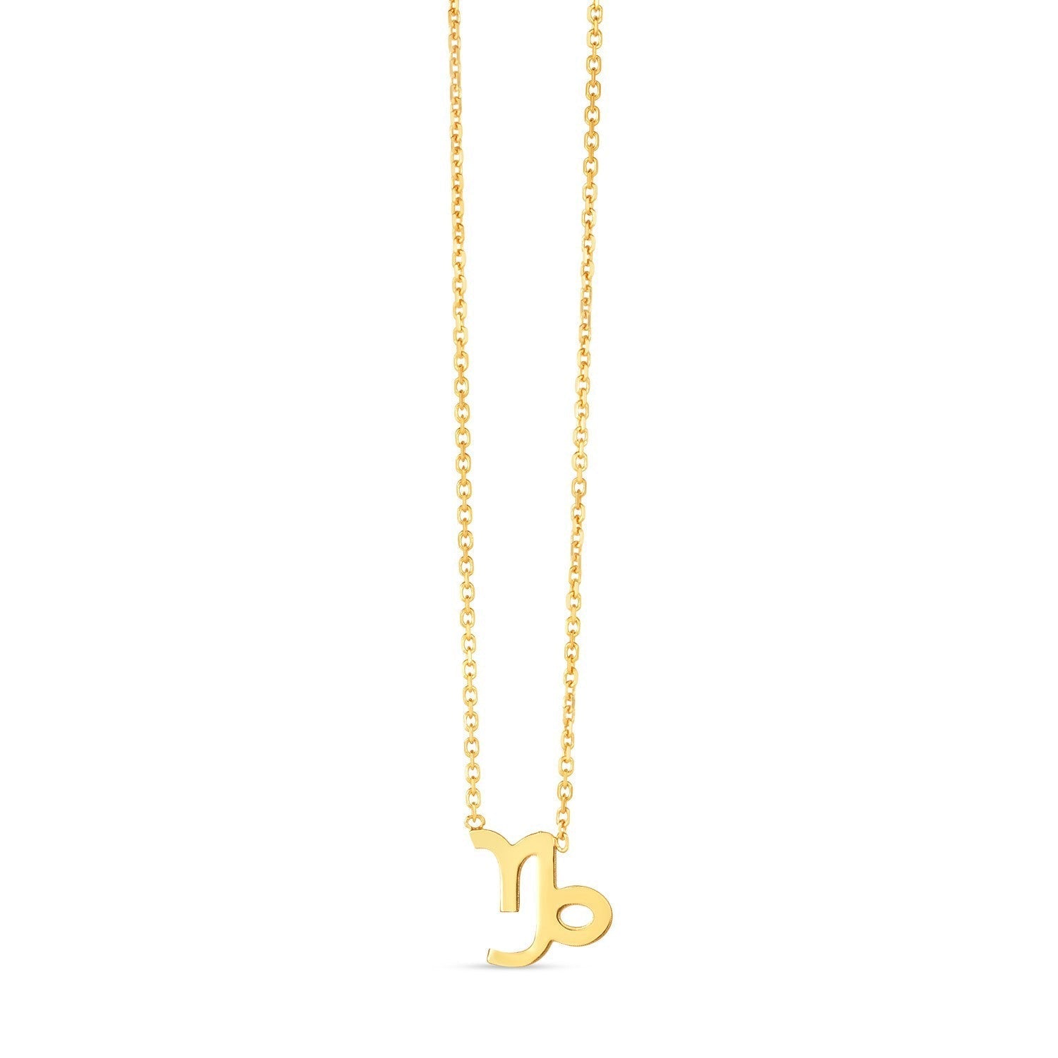 14K Yellow Gold Capricorn Necklace  DestGlow