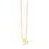 14K Yellow Gold Capricorn Necklace  DestGlow