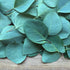 Eucalyptus Leaf, Cut, Sifted - DestGlow