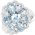 6.64 Carat Genuine Blue Topaz .925 Sterling Silver Ring by Bids.com