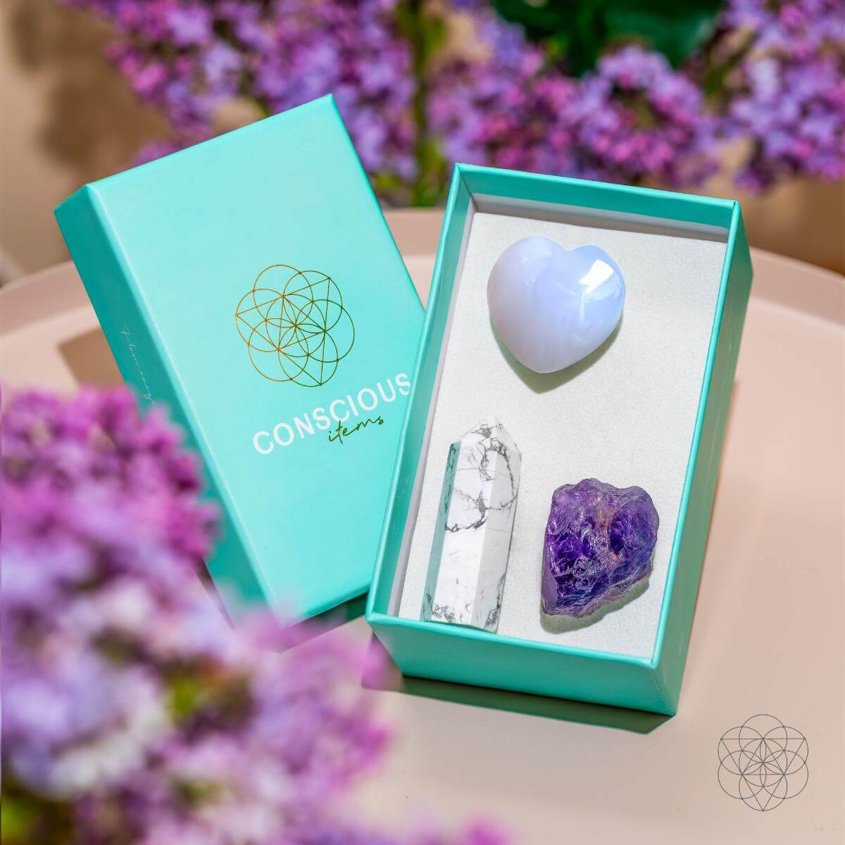 Focused Driver - Crystal Car Kit Of Protection - DestGlow