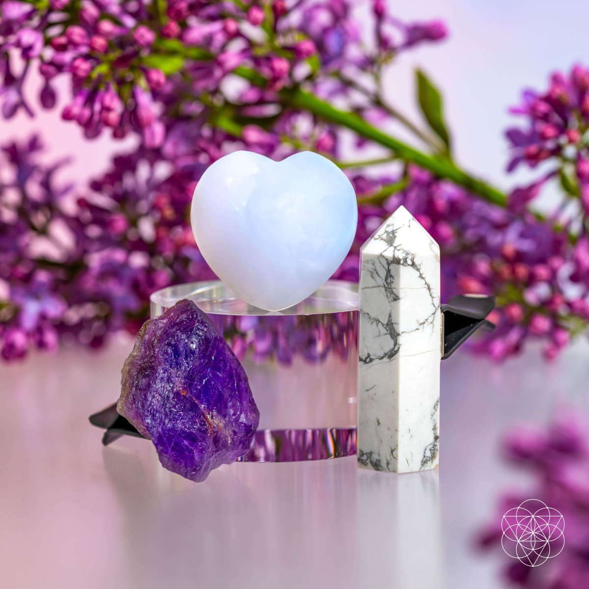 Focused Driver - Crystal Car Kit Of Protection - DestGlow