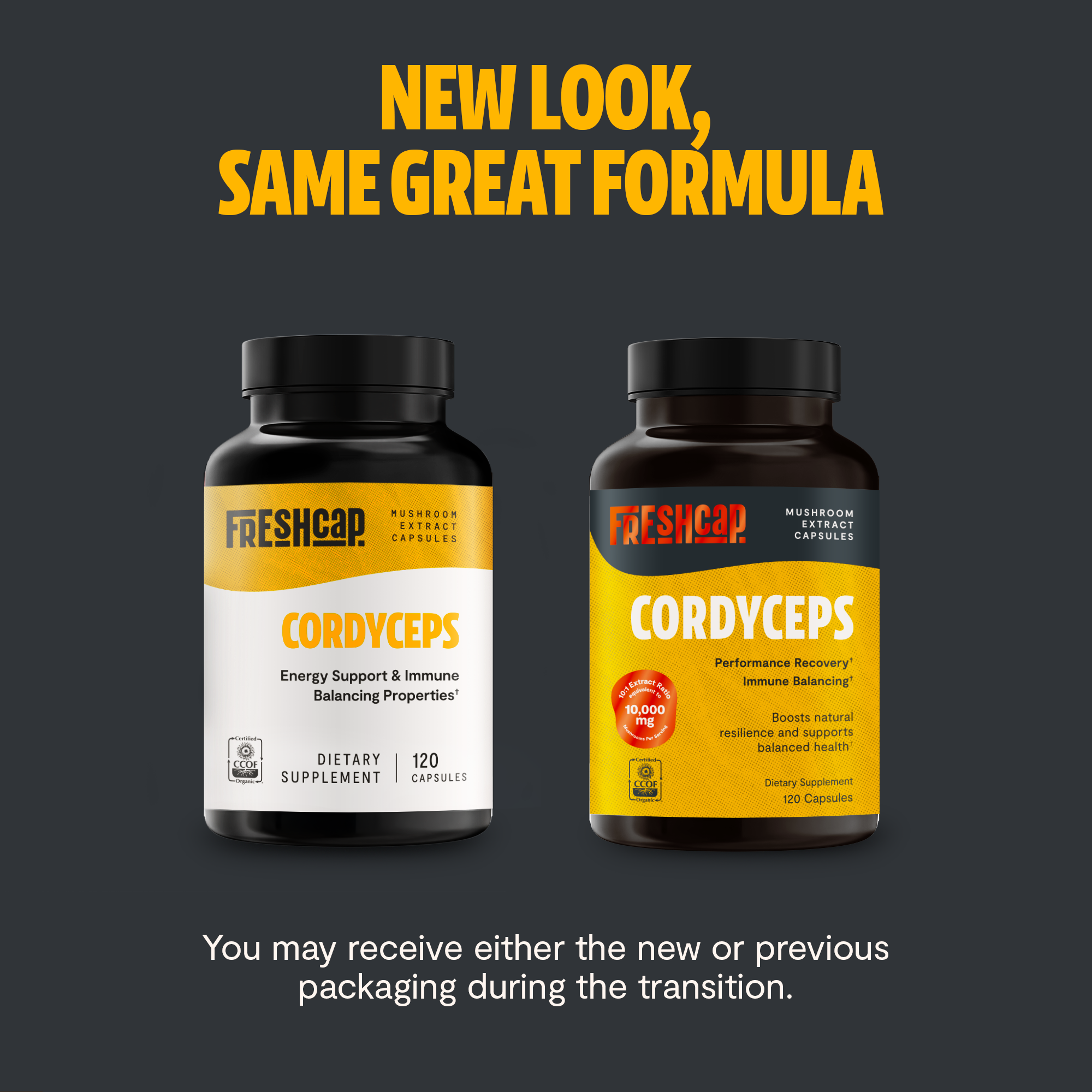 Cordyceps Mushroom Extract Capsules