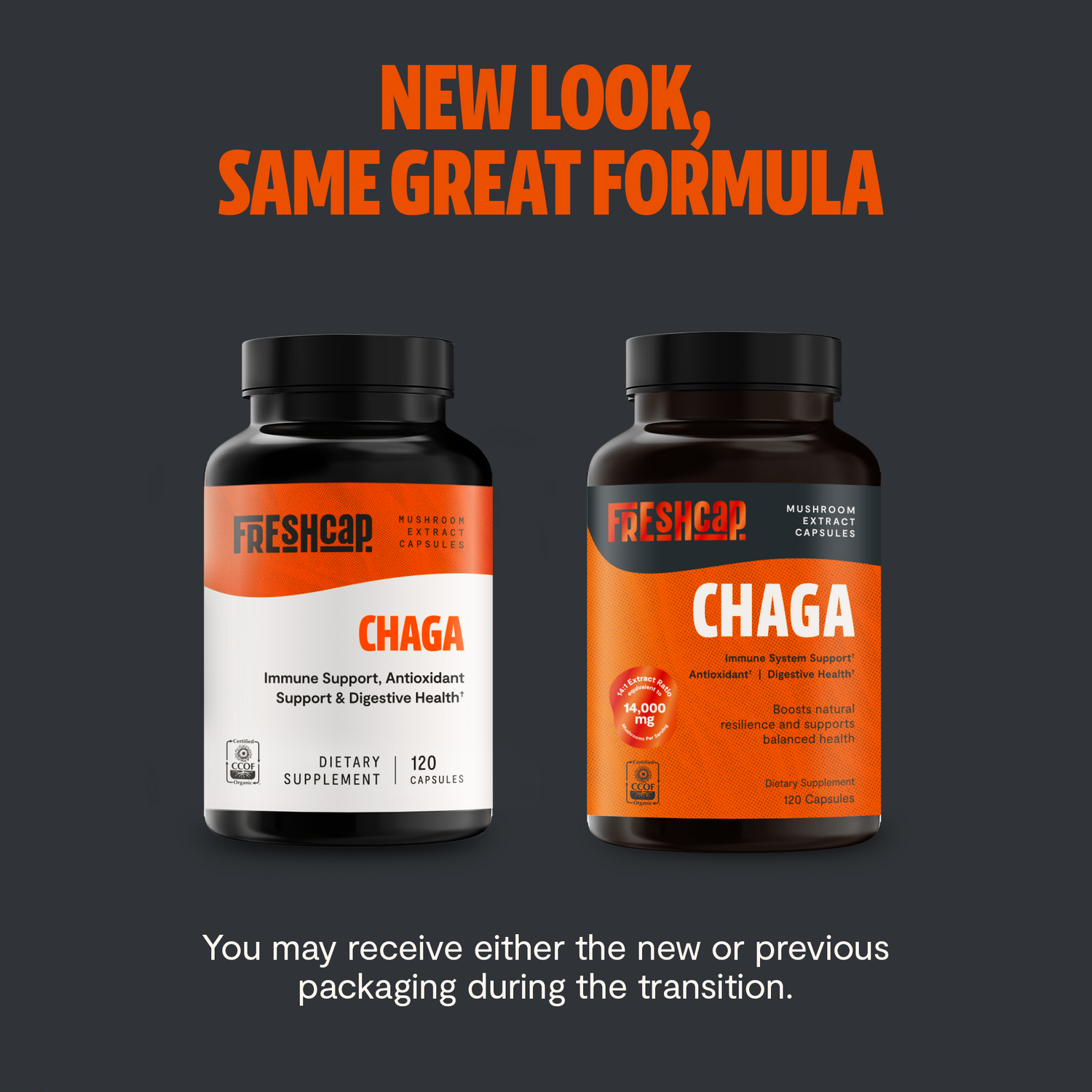 Chaga Mushroom Extract Capsules