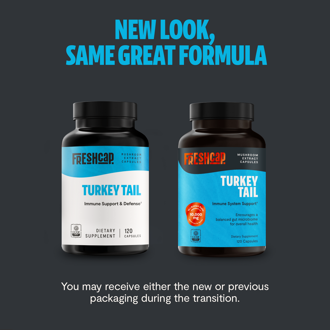 Turkey Tail Mushroom Extract Capsules