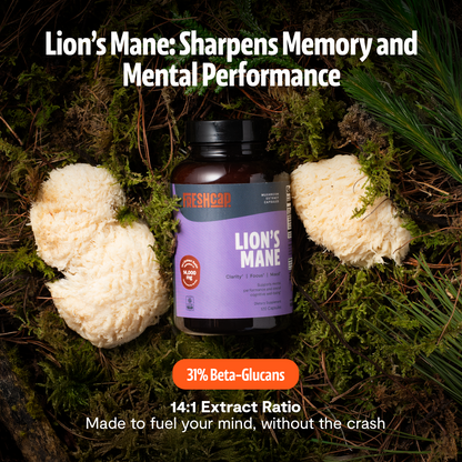 Lion&