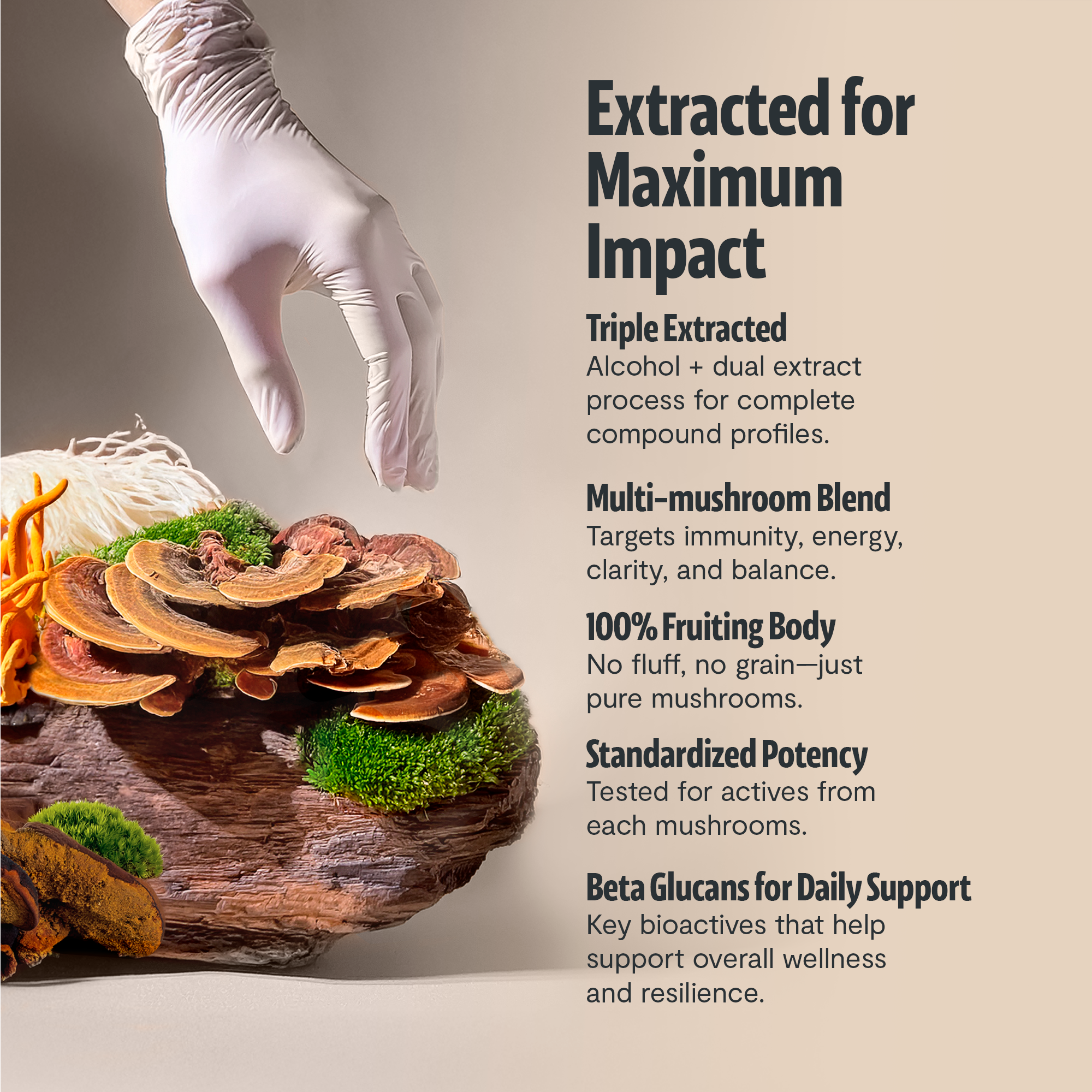 Organic Mushroom Complex Supplement Capsules by FreshCap Mushrooms