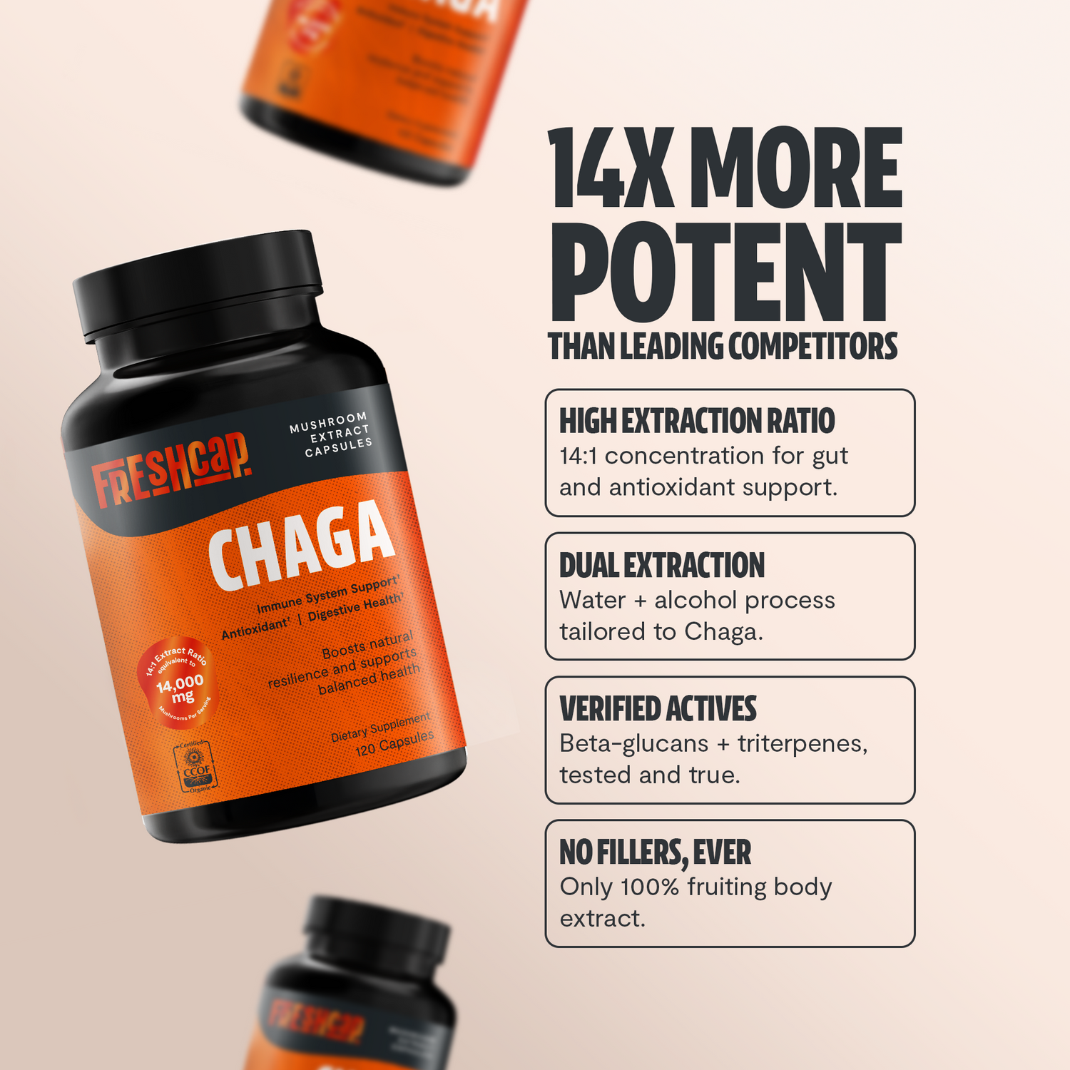 Chaga Mushroom Extract Capsules