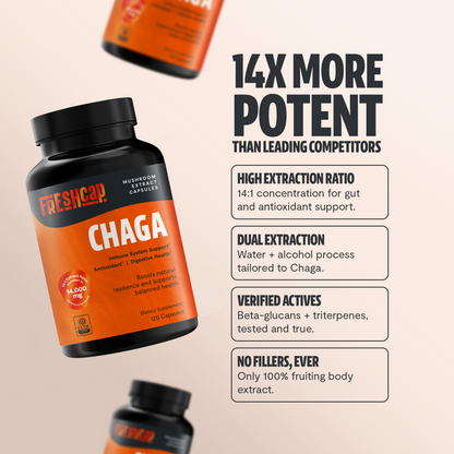 Chaga Mushroom Extract Capsules