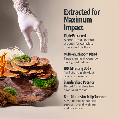 Ultimate Mushroom Complex Powder by FreshCap Mushrooms