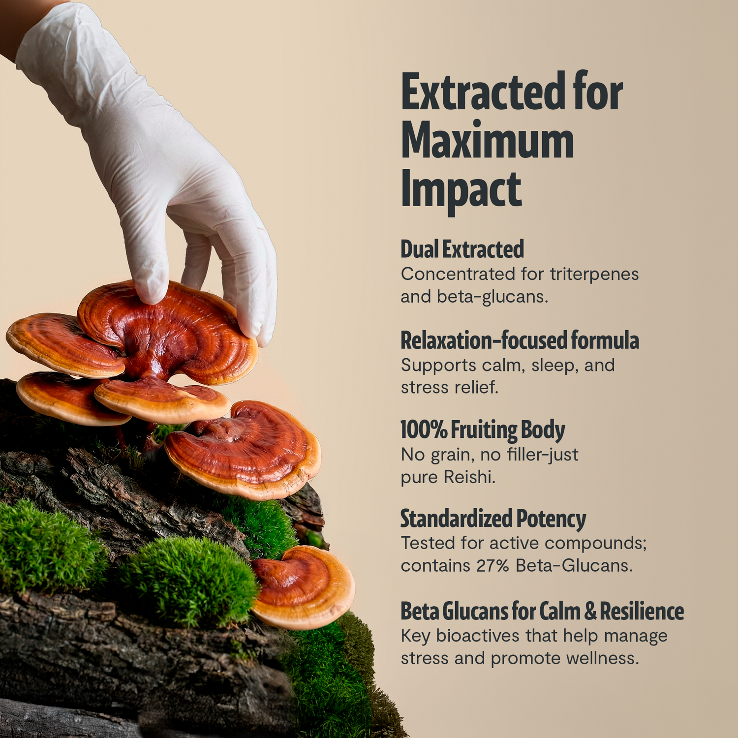 Reishi Mushroom Extract Powder by FreshCap Mushrooms