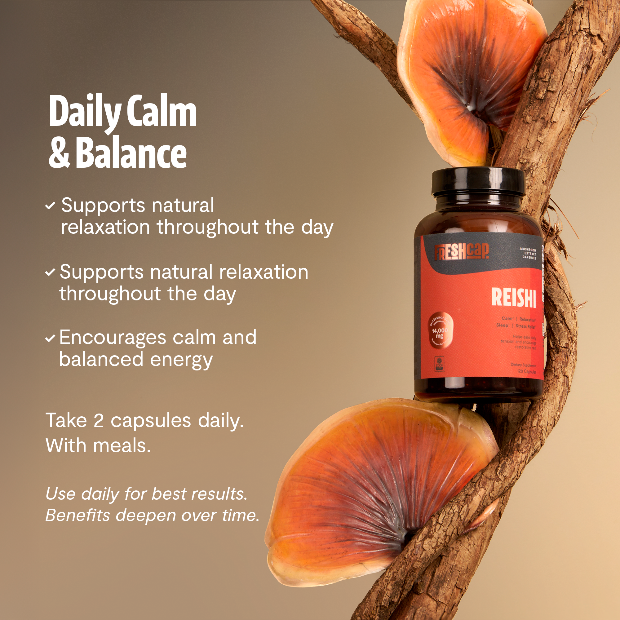 Reishi Mushroom Extract Capsules by FreshCap Mushrooms