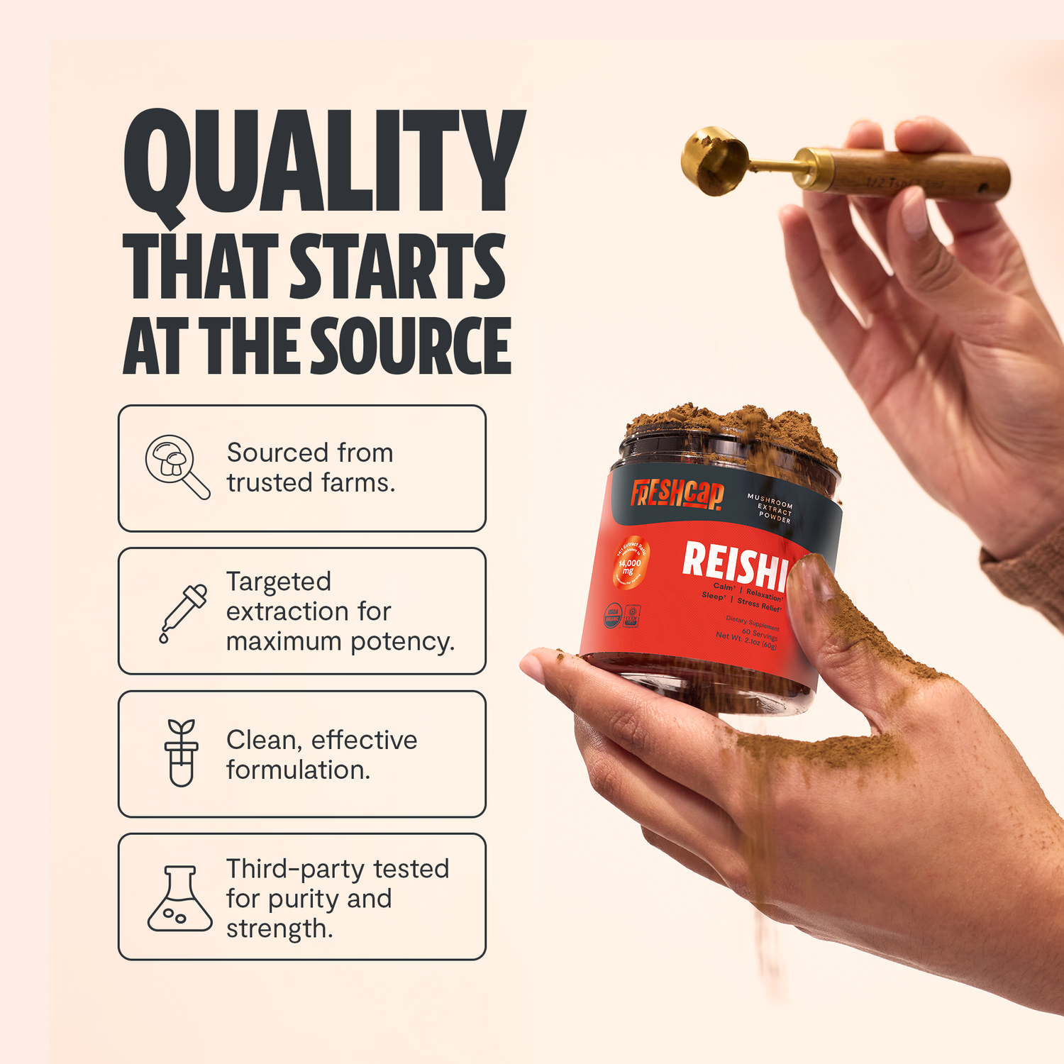 Reishi Mushroom Extract Powder