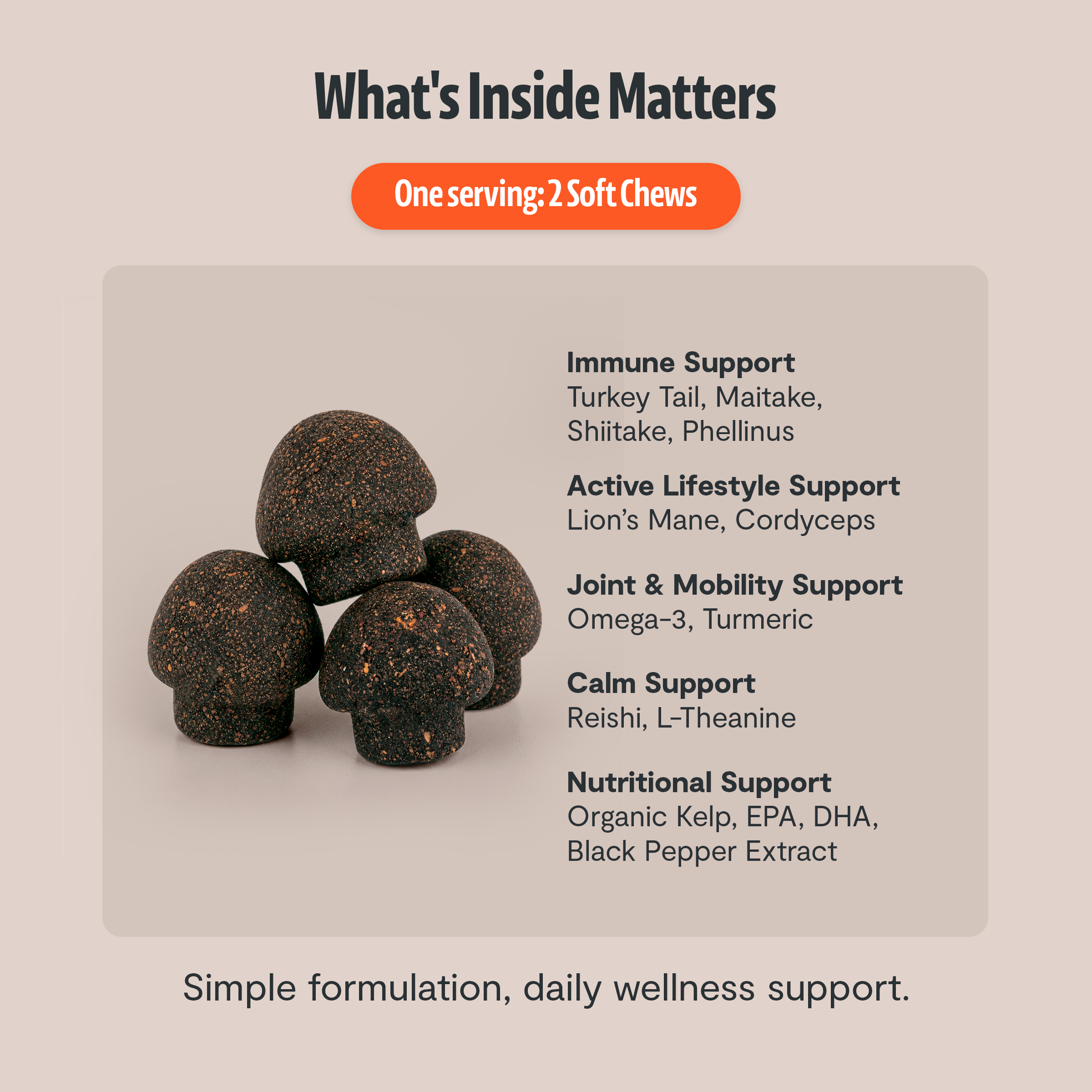 Organic Mushroom Complex for Dogs  DestGlow