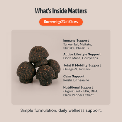 Organic Mushroom Complex for Dogs  DestGlow