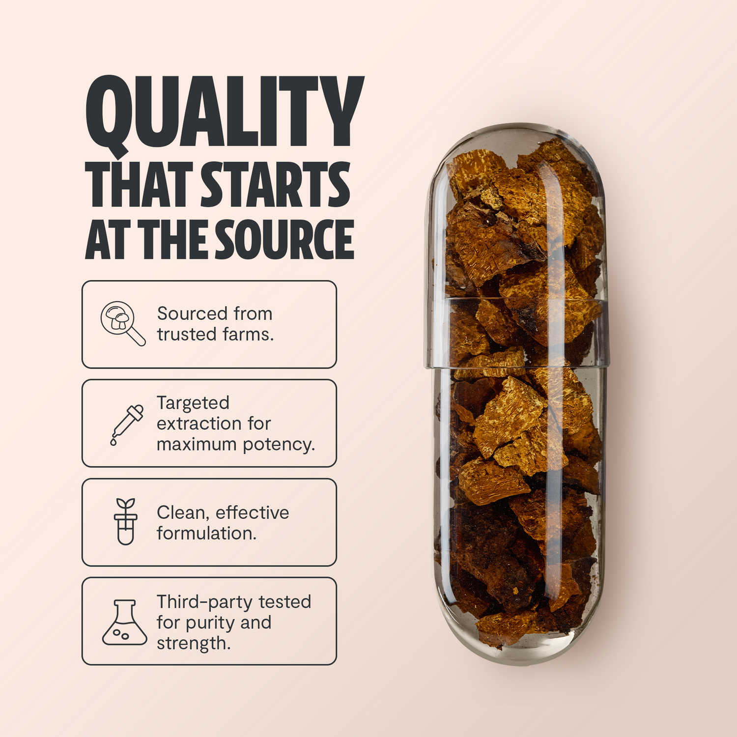 Chaga Mushroom Extract Capsules