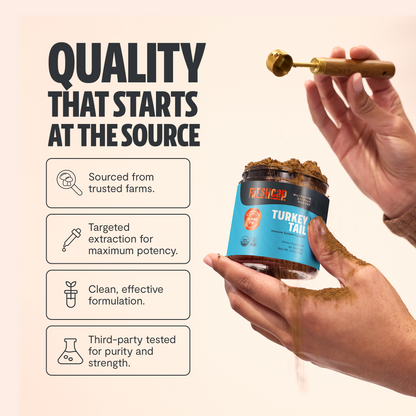 Turkey Tail Mushroom Extract Powder