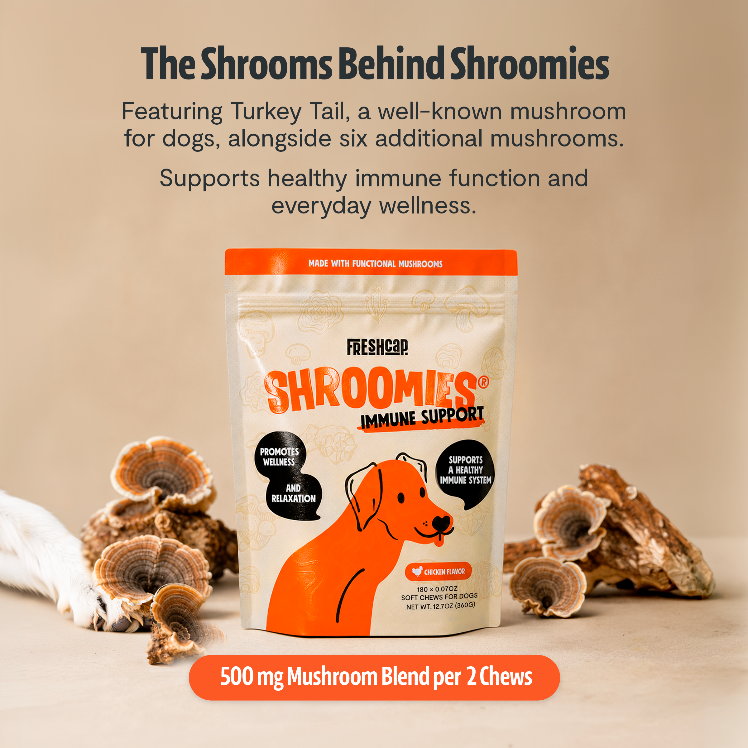 Organic Mushroom Complex for Dogs  DestGlow
