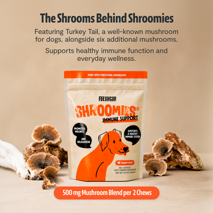 Organic Mushroom Complex for Dogs  DestGlow